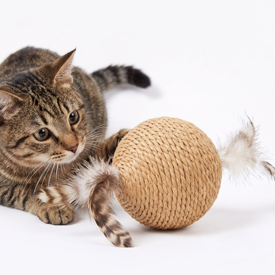 Natural Sisal Ball with Feather Cat Toy