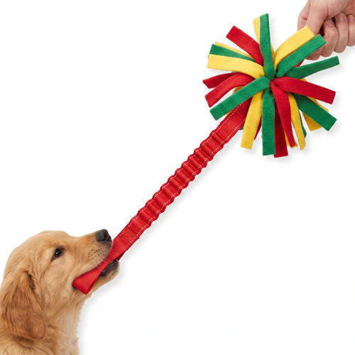 Interactive Plush Tug Toy