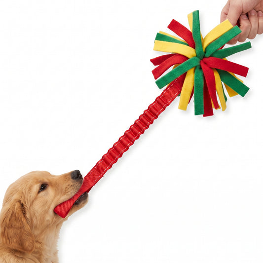 Interactive Plush Tug Toy