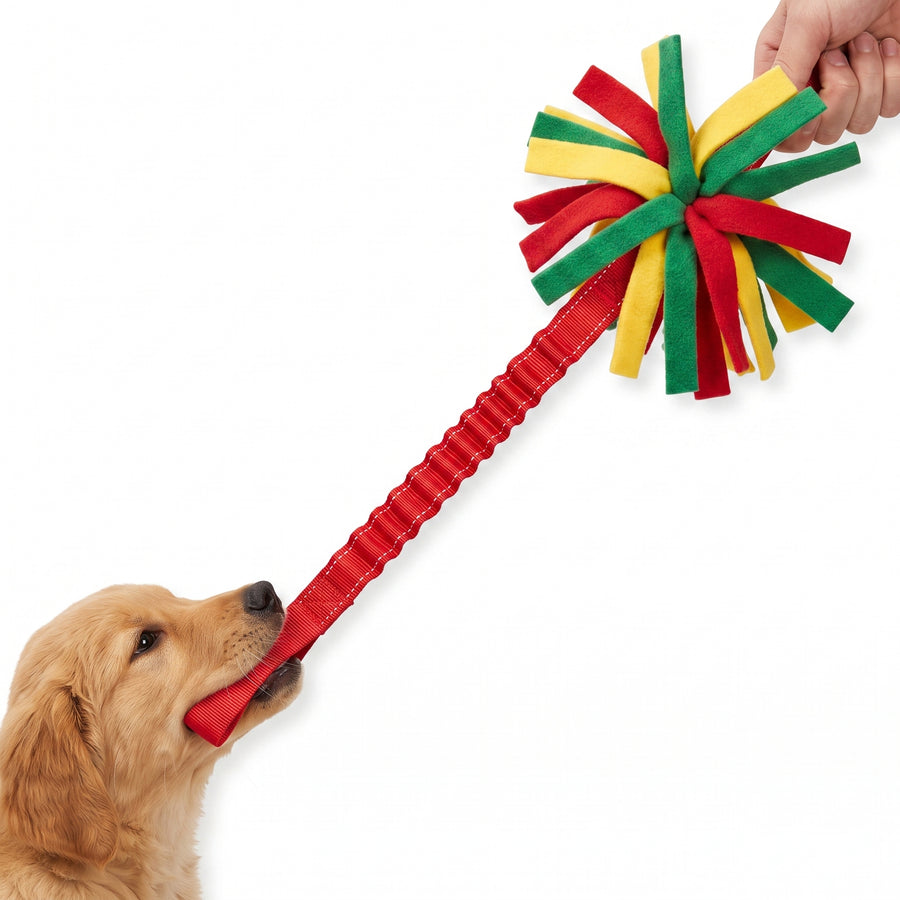 Interactive Plush Tug Toy