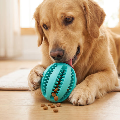 Interactive Treat Dispensing Chew Ball
