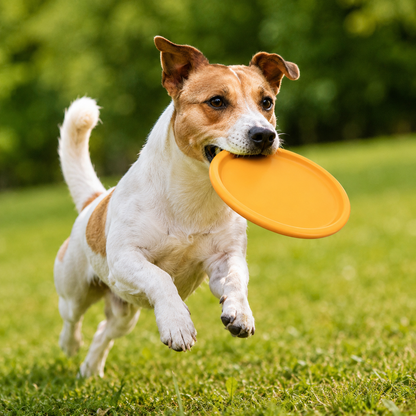 Floating Dog Flying Disc