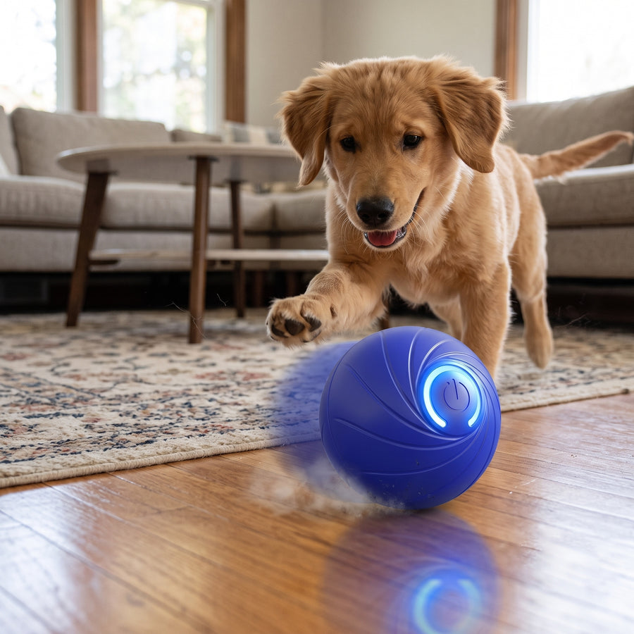 Interactive Automatic Rolling Ball