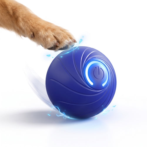 Interactive Automatic Rolling Ball
